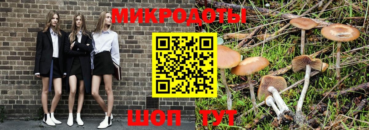 Псилоцибиновые грибы Cubensis  Галлюциногенные грибы GOLDEN TEACHER  что такое   Минеральные Воды  Вход с VPN 